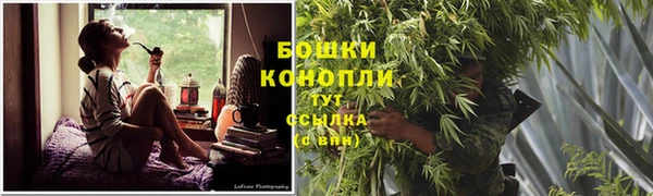 PSILOCYBIN Богородицк